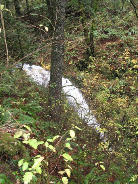 11.11.06 Waukeena Multnomah Falls 019 